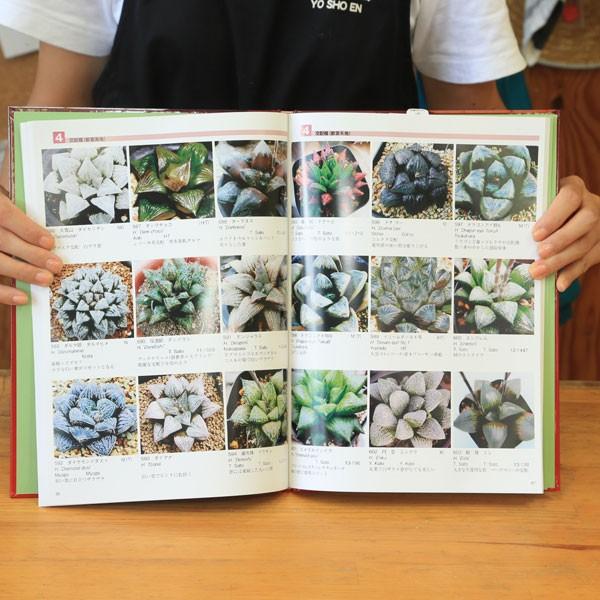 本：ハオルチアアカデミー写真集　Vol.1*資材｜y-bonsai｜03