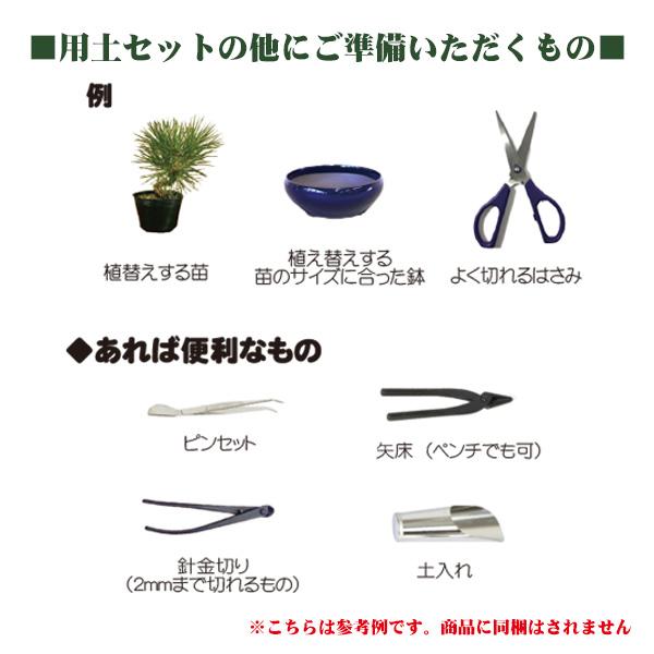 用土：植え替え用土セット（ミニ盆栽用）*盆栽植え替えセット植替え