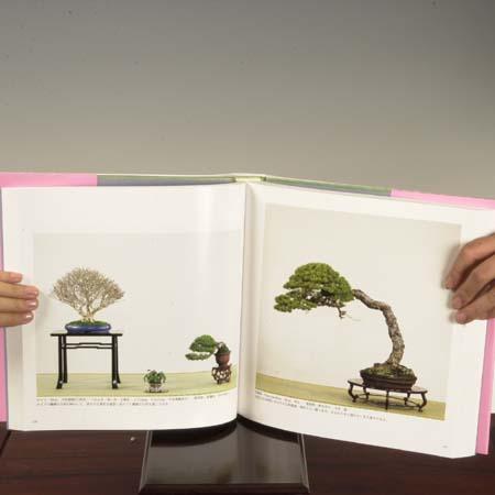 写真集：国風盆栽展 第80回記念*資材 : 遊恵盆栽 Yahoo!店 - 通販