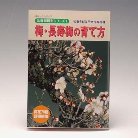 本：梅・長寿梅の育て方*資材｜y-bonsai