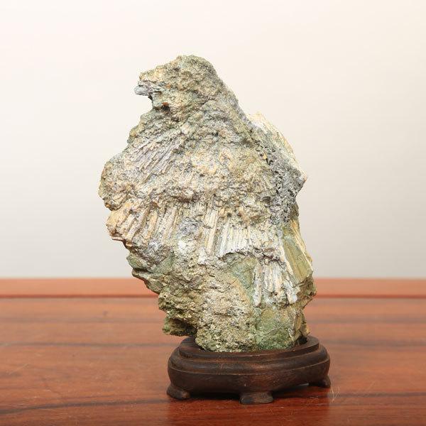 水石：下仁田菊化石「鷹」【現品】*資材 : 遊恵盆栽 Yahoo!店 - 通販