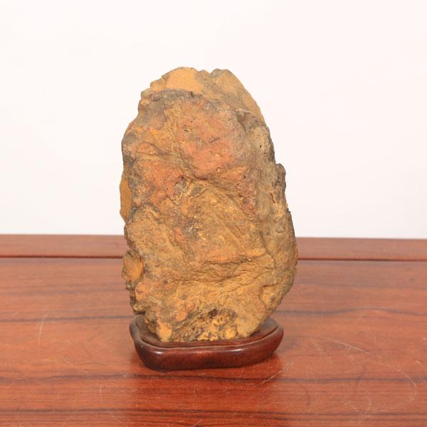 水石：泉州石 ツボ石 現品*資材 せんしゅう : 遊恵盆栽 Yahoo!店