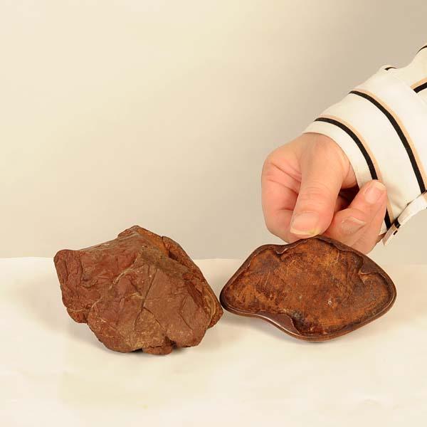 水石：加茂川畚下石 茅舎 現品*カモガワフゴオロシ クズヤ : 遊恵盆栽