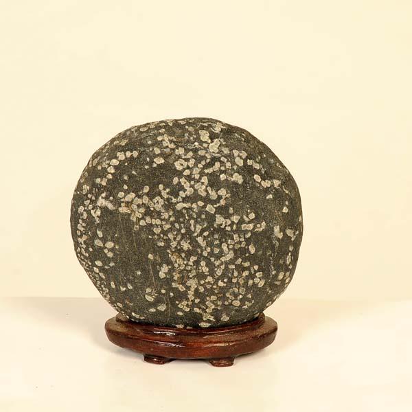 水石　ロシア産隕石　うぶ石 水石：宇治川 吹雪石 現品*資材ウジガワフブキ : 遊恵盆栽 Yahoo!店