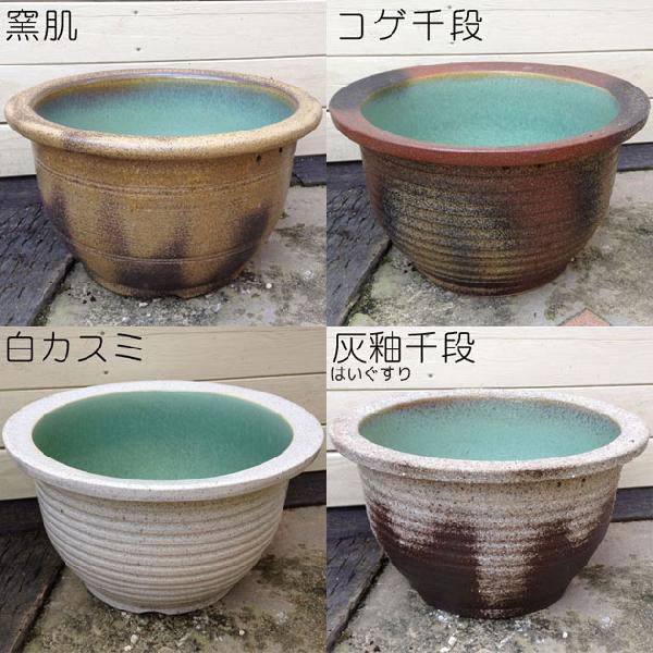 鉢：雑貨 信楽焼：睡蓮鉢 すいれんばち・はす鉢・めだか鉢 13号深鉢