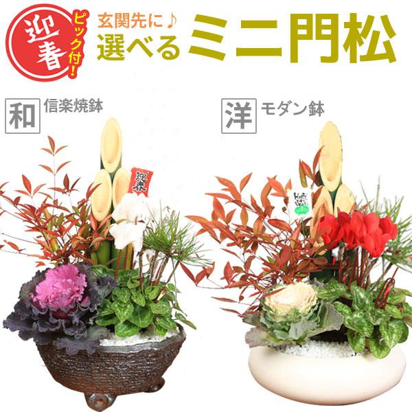 門松お正月飾り 迎春：ミニ門松*寒水とピック付き（黒松・南天