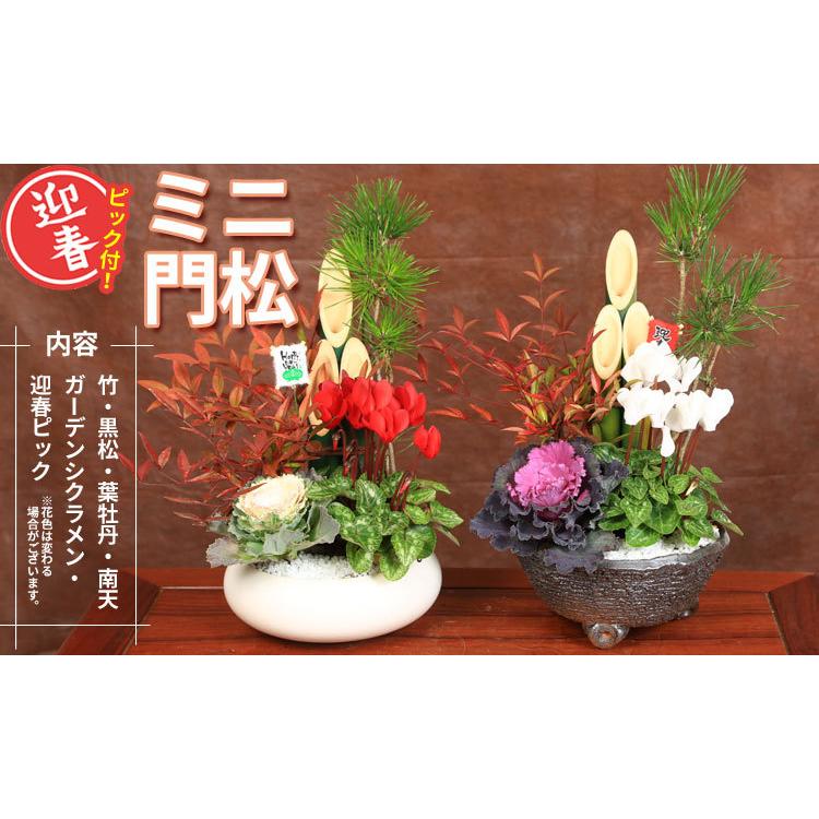 門松お正月飾り 迎春：ミニ門松*寒水とピック付き（黒松・南天