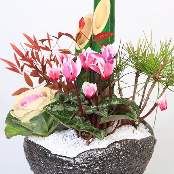 門松お正月飾り 迎春：ミニ門松*寒水とピック付き（黒松・南天