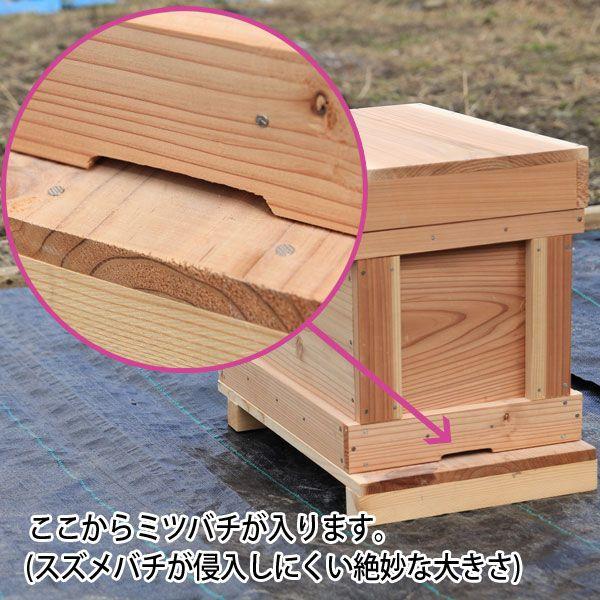 巣箱:石田式 ニホンミツバチ捕獲箱(本格派向け)*(みつばち巣箱 巣箱:石田式 ニホンミツバチ捕獲箱(本格派向け)*(みつばち巣箱