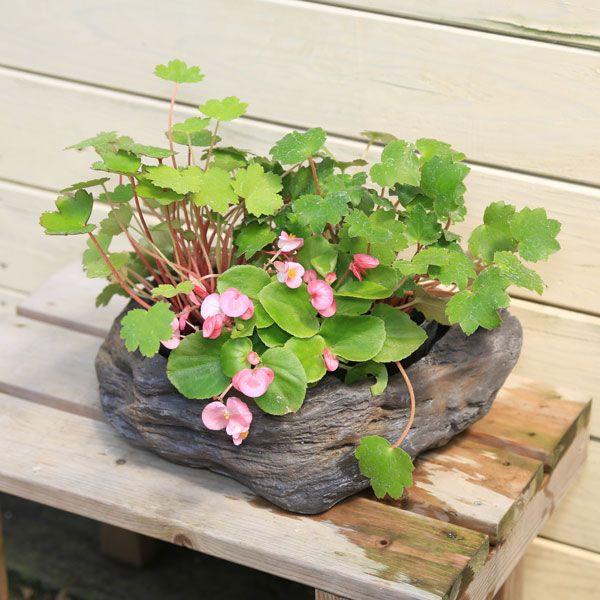 お取引中　ガーデニング資材　 Introducing the gardening products I bought on Amazon ☆ - YouTube