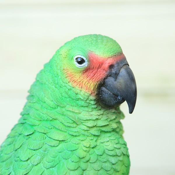 雑貨 置物・フィギュア：グリーンオウム*W-444 : 遊恵盆栽 Yahoo!店