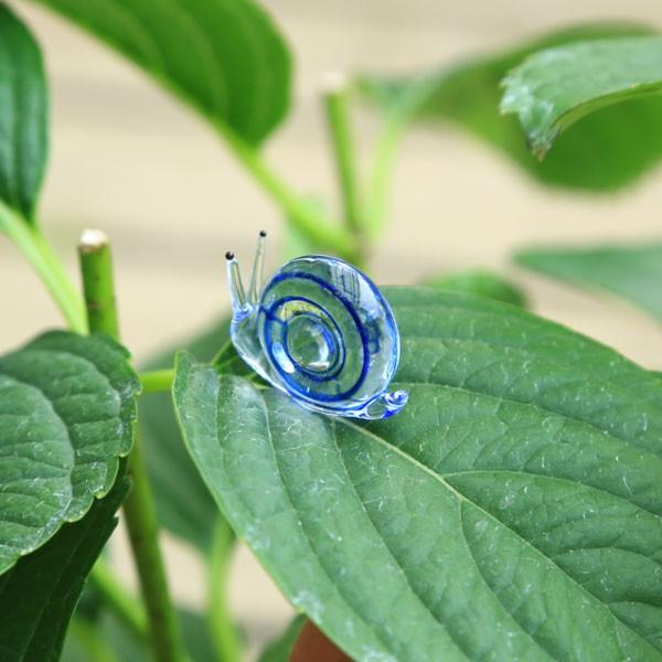 庭木 植木 苗 訳あり アジサイ 紫陽花 銀河 ガラスのカタツムリ付き 花色は土質により異なる場合がございます F3311 W B 遊恵盆栽 Yahoo 店 通販 Yahoo ショッピング