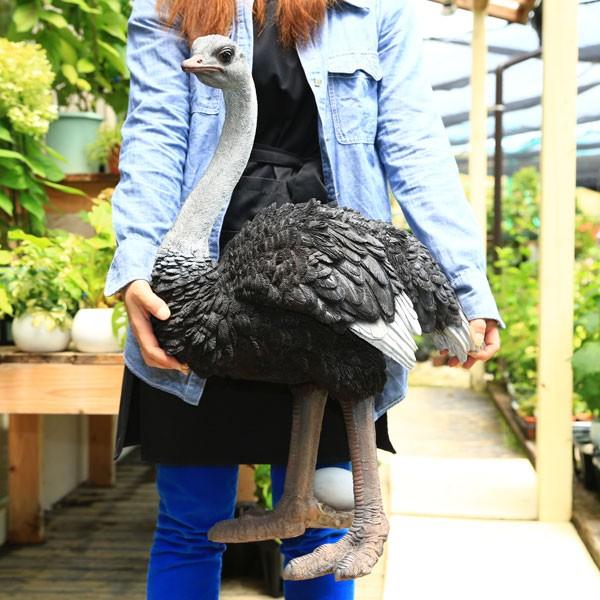 雑貨 置物・フィギュア：ダチョウ*w-461 : 遊恵盆栽 Yahoo!店 - 通販