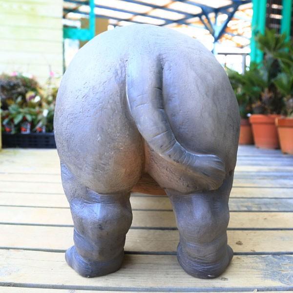 雑貨 置物・フィギュア：カバ 超特大*大型ヤマト便配送 : 遊恵盆栽
