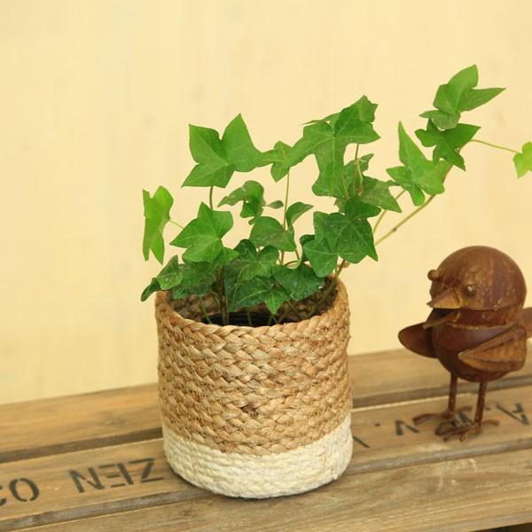 雑貨 鉢カバー：ジュートプランツカバー*3サイズセット お色選べます