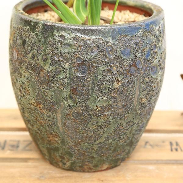 希少品種 観葉植物：斑入りモンステラ*陶器鉢 受皿付 SALE
