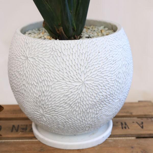 おしゃれ 観葉植物：斑入りスパティフィラム ホワイト*陶器鉢(受け皿 