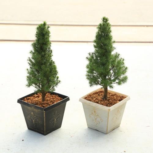 庭木 コニカのクリスマスツリー 鉢色選べます バークチップ F45v 遊恵盆栽 Yahoo 店 通販 Yahoo ショッピング