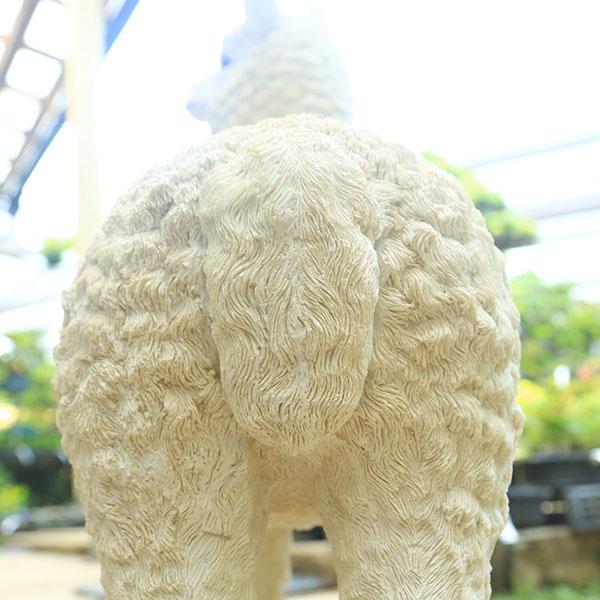 雑貨：フィギュア アルパカ*資材 : 遊恵盆栽 Yahoo!店 - 通販 - Yahoo