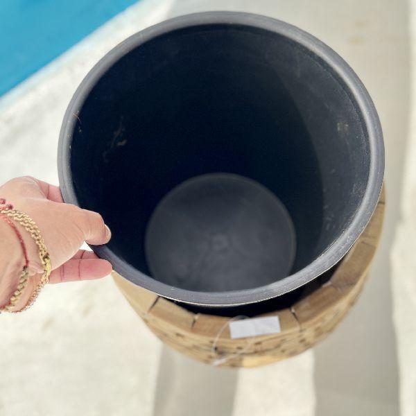 おしゃれ 観葉植物：ドラセナ ワーネッキー*鉢カバー シュロ皮 大型佐川便配送 