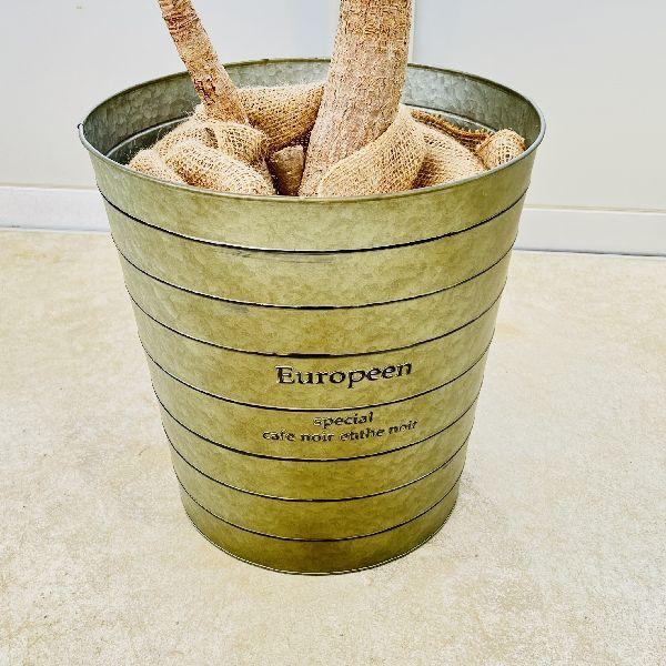 おしゃれ　観葉植物：斑入りユッカ　ブリキ鉢カバー*麻布　大型佐川急便　現品2番 