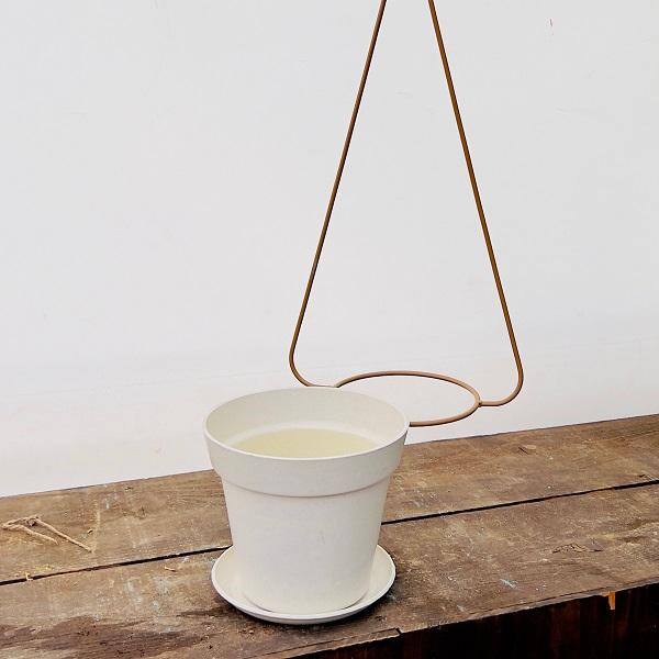 おしゃれ 観葉植物：ビカクシダ コウモリラン ネザーランド*吊り鉢