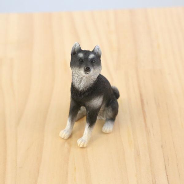 雑貨 置物 フィギュア 選べる：豆柴*豆しば 柴犬 : 遊恵盆栽 Yahoo!店