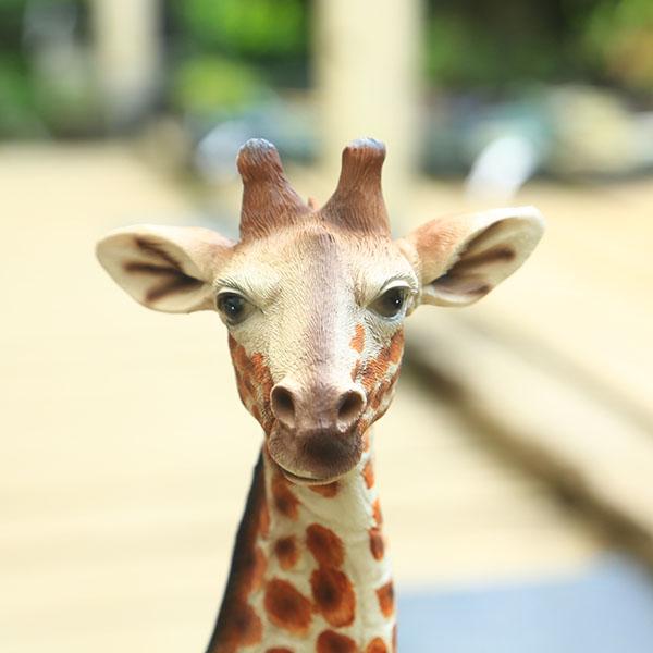 雑貨 置物・フィギュア：キリン*きりん 麒麟 : 遊恵盆栽 Yahoo!店