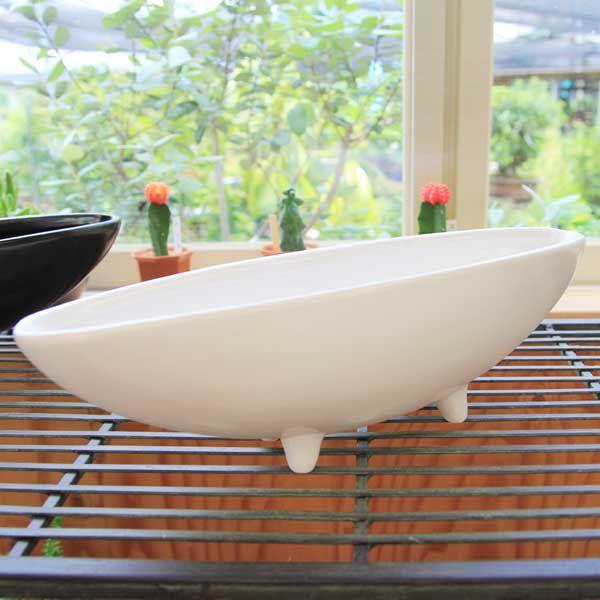 富舟　丸　盆栽鉢 富舟 丸 盆栽鉢