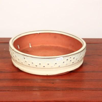 鉢：中国製太鼓丸鉢 白 23.5cm* 資材 : 遊恵盆栽 Yahoo!店 - 通販