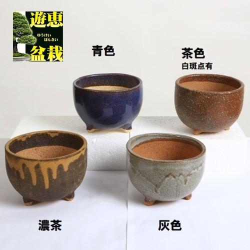 鉢：信楽焼小鉢(丸鉢) 4号 12cm かみ山陶器* 資材 : 遊恵盆栽