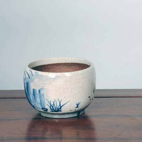 信楽焼：粉引絵付鉢（カニ）11.5cm* 資材 : 遊恵盆栽 Yahoo!店 - 通販