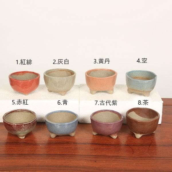 ゆうき祥石　小品盆栽 盆栽鉢：祥石（ゆうき）丸鉢・小* 資材 : 遊恵盆栽 Yahoo!店 - 通販