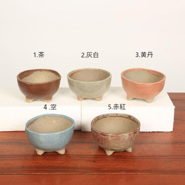 盆栽鉢：祥石（ゆうき）丸鉢・中* 資材 : 遊恵盆栽 Yahoo!店 - 通販