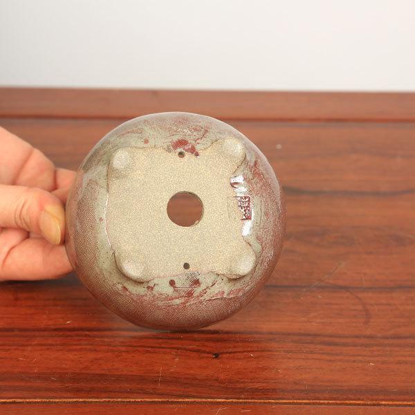 祥石　丸　盆栽鉢 現代小鉢：祥石(二代目)ゆうき*中 丸鉢 3号 | すべての商品