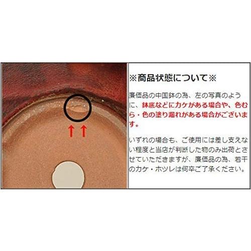 中国鉢　もっこ　盆栽鉢 鉢：中国製モッコ鉢 6号* 資材 : 遊恵盆栽 Yahoo!店 - 通販 - Yahoo