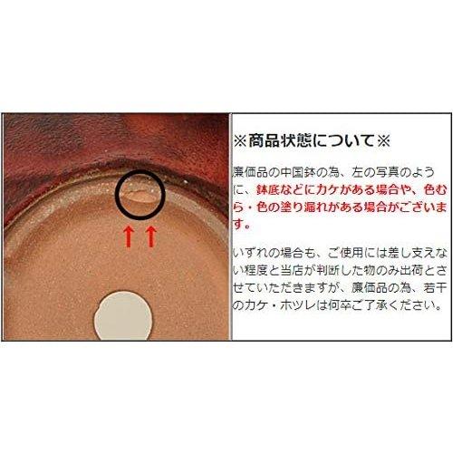 鉢：中国小鉢 4号丸鉢*資材 : 遊恵盆栽 Yahoo!店 - 通販 - Yahoo