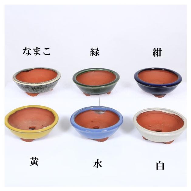 現代小鉢：燿山(英明)丸鉢 3.5号*資材 : 遊恵盆栽 Yahoo!店 - 通販