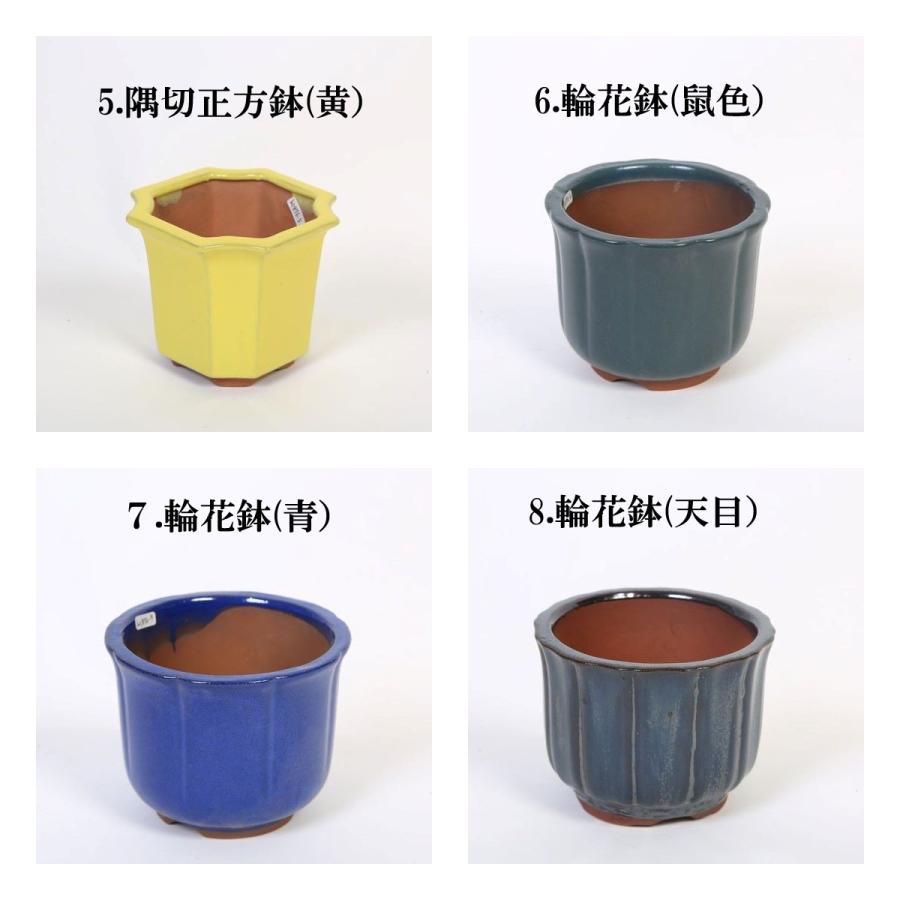 特価鉢：中国深鉢 II 4.5号＊資材 : 遊恵盆栽 Yahoo!店 - 通販 - Yahoo