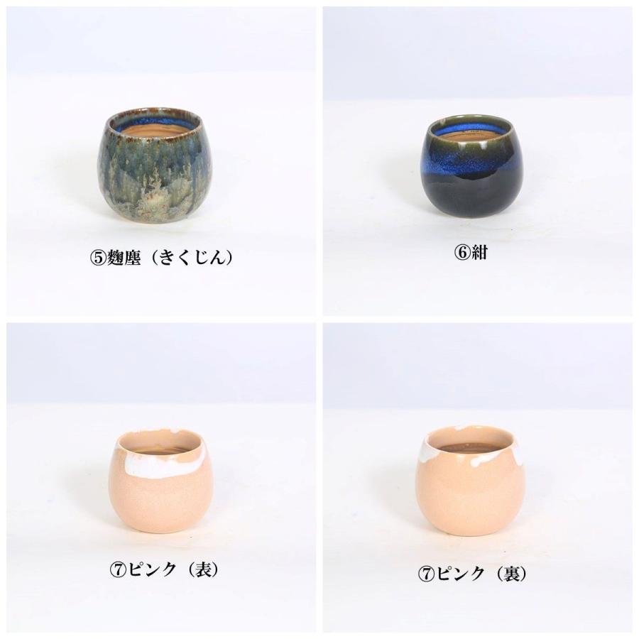 鉢：瀬戸焼湯呑丸鉢 2号*資材 : 遊恵盆栽 Yahoo!店 - 通販 - Yahoo