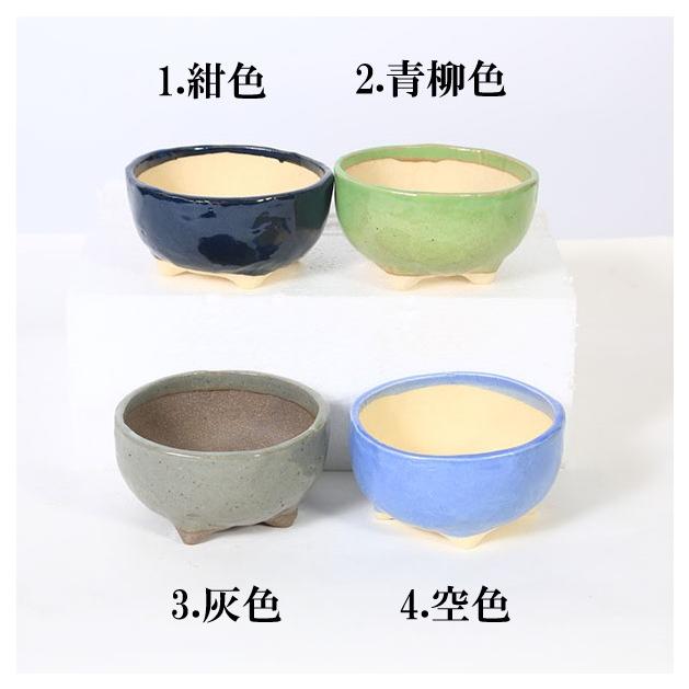 現代小鉢：祥石(二代目)ゆうき*丸鉢 4号 : 遊恵盆栽 Yahoo!店 - 通販