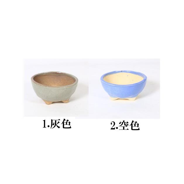 現代小鉢：祥石(二代目)ゆうき*丸鉢 3.5号 : 遊恵盆栽 Yahoo!店 - 通販