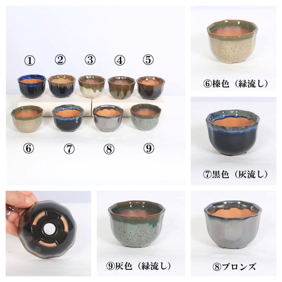 鉢：瀬戸焼花形丸鉢 2.5号*資材 : 遊恵盆栽 Yahoo!店 - 通販 - Yahoo