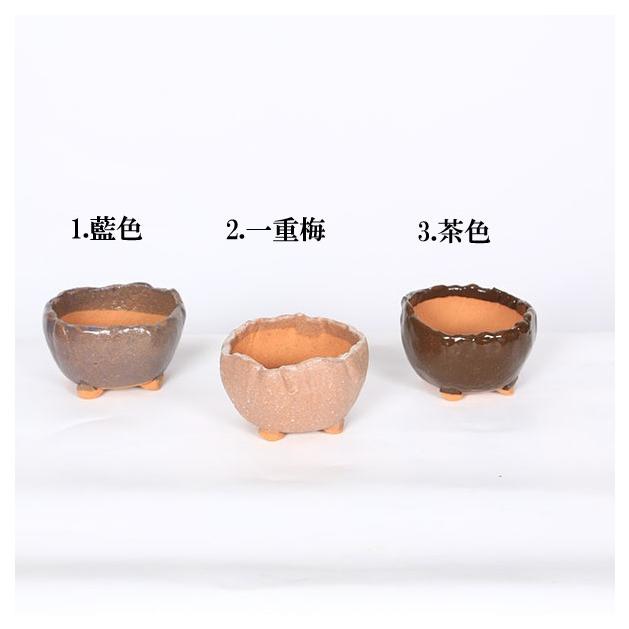 鉢：相馬焼つぼみ型鉢 落款【竹鳳】2号＊資材 : 遊恵盆栽 Yahoo!店