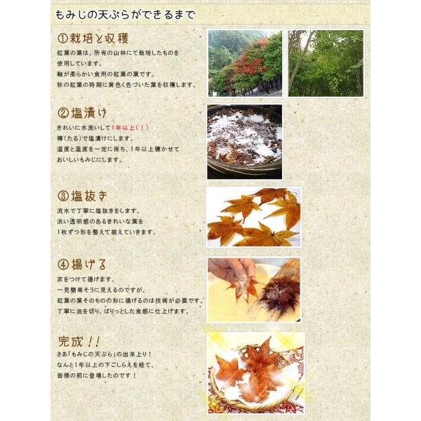 小品盆栽 出猩々もみじ 信楽焼鉢 ともみじの天ぷらセット 紅葉名所伝統菓子秋味覚 誕生日御祝プレゼント Bonsai My0897set 遊恵盆栽 Yahoo 店 通販 Yahoo ショッピング