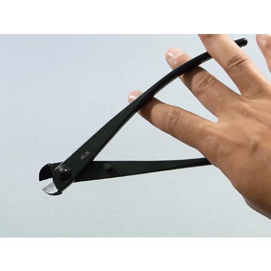 切り株 59643-03.jpg