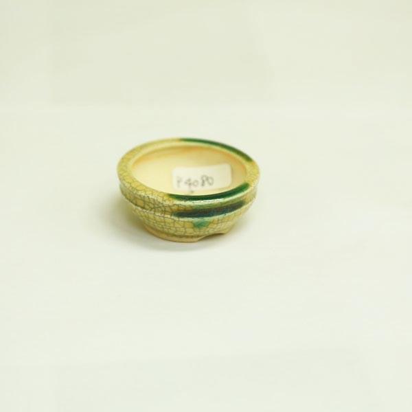 盆栽小鉢：英明 (丸鉢 3.8cm)* 資材 : 遊恵盆栽 Yahoo!店 - 通販