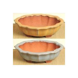 燿山　正方　深め　盆栽鉢 盆栽鉢：英明(燿山) 15.0cm* 資材 : 遊恵盆栽 Yahoo!店 - 通販
