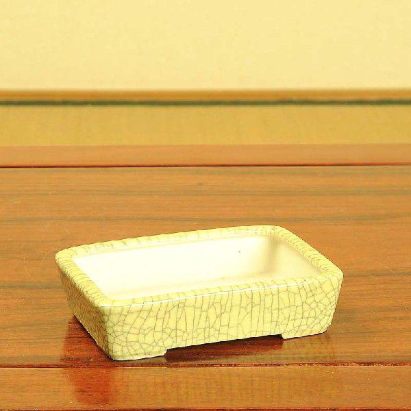 盆栽小鉢：青香(せいか)（長方鉢 12.2cm）* 資材 : 遊恵盆栽 Yahoo!店