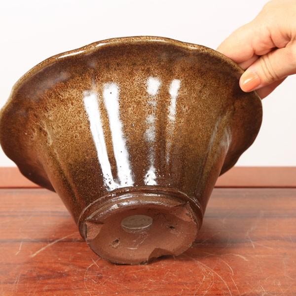 盆栽小鉢：秀峰 花形エン付高台鉢 21.9cm *現品もの 資材 : 遊恵盆栽
